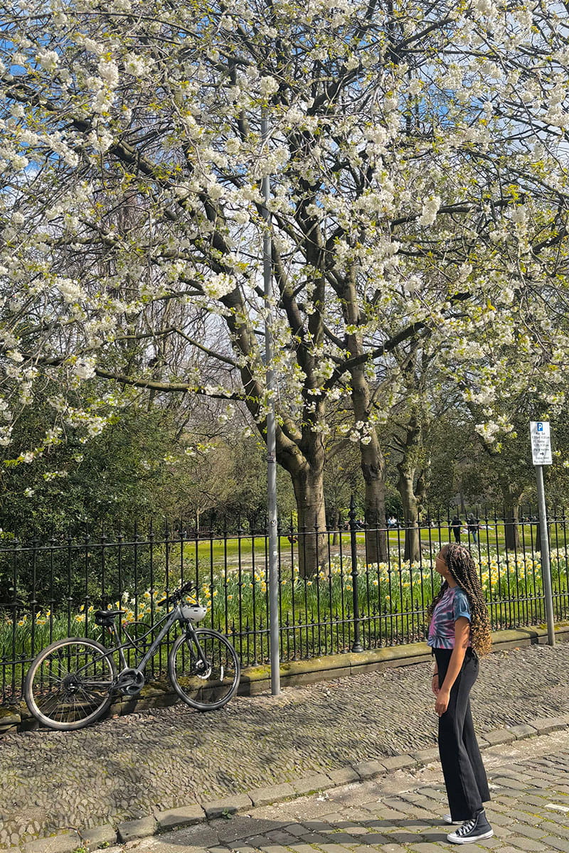 Keaobaka standing looking at the blossom on a tree in George Square beside the University of Edinburgh Business School 