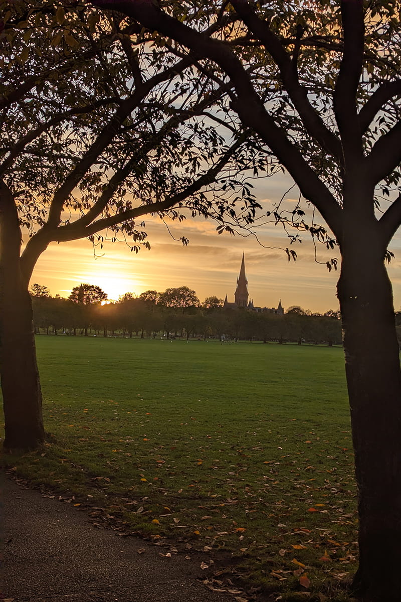 Sun setting in the Meadows in Edinburgh