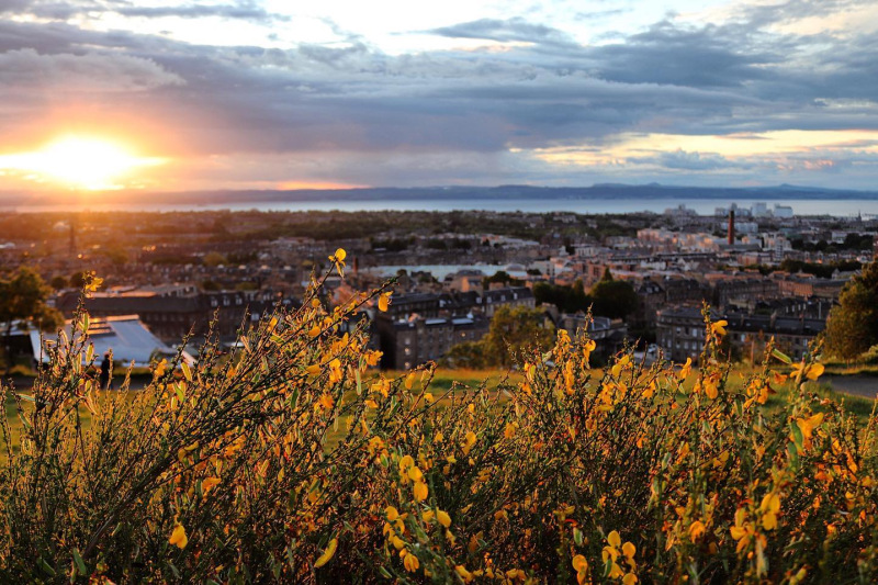 Reflecting on a Year at University and a Pandemic