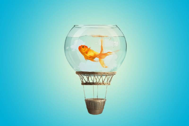 A goldfish swimming in a bowl, elevated by a  hot air balloon in a bright sky.